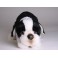 Elvis Boston Terrier Dog Stuffed Plush Animal Display Prop