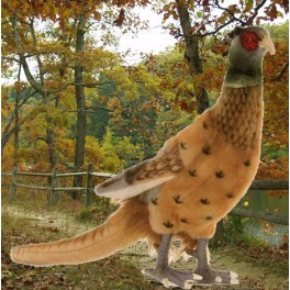 http://animalprops.com/71-thickbox_default/stripe-tiger-pheasant-stuffed-plush-prop-.jpg