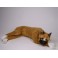 Lucy Boxer Dog Stuffed Plush Animal Display Prop