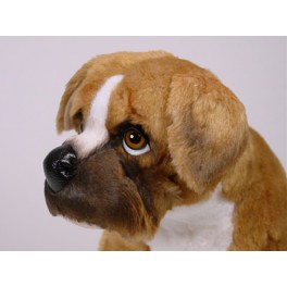 http://animalprops.com/713-thickbox_default/brennan-boxer-dog-stuffed-plush-animal-display-prop.jpg