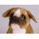 Buckley Boxer Dog Stuffed Plush Animal Display Prop
