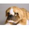Bruno Boxer Dog Stuffed Plush Animal Display Prop