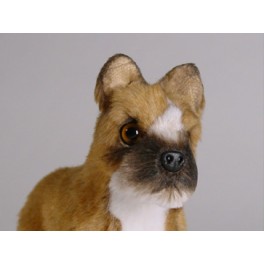 http://animalprops.com/736-thickbox_default/buster-boxer-dog-stuffed-plush-animal-display-prop.jpg