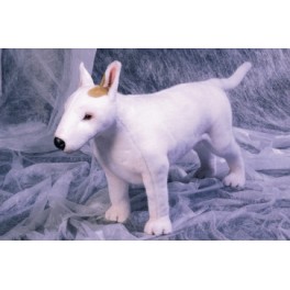 http://animalprops.com/739-thickbox_default/spuds-bull-terrier-dog-stuffed-plush-animal-display-prop.jpg