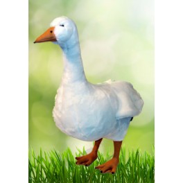 http://animalprops.com/74-thickbox_default/mother-goose-plush-stuffed-goose.jpg