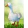 Mother Goose Plush Stuffed Goose