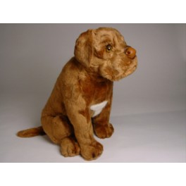 Beasley Dogue de Bordeaux Dog Stuffed 