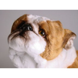 http://animalprops.com/748-thickbox_default/white-knight-bulldog-stuffed-plush-animal-display-prop.jpg
