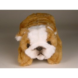 http://animalprops.com/760-thickbox_default/sweet-september-bulldog-stuffed-plush-animal-display-prop.jpg