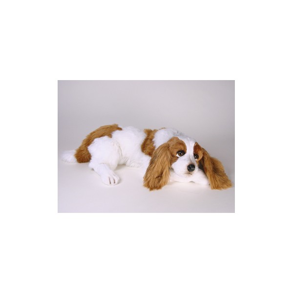 cavalier king charles spaniel stuffed toy