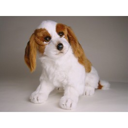 http://animalprops.com/772-thickbox_default/dash-cavalier-king-charles-spaniel-stuffed-plush-animal-display-prop.jpg