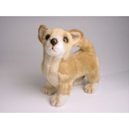 http://animalprops.com/775-thickbox_default/gidget-chihuahua-dog-stuffed-plush-animal-display-prop.jpg