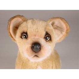 http://animalprops.com/781-thickbox_default/ducky-chihuahua-dog-stuffed-plush-animal-display-prop.jpg