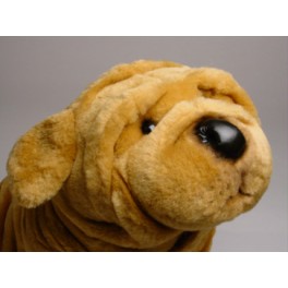 http://animalprops.com/790-thickbox_default/alfie-chinese-shar-pei-dog-stuffed-plush-animal-display-prop.jpg