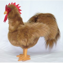http://animalprops.com/81-thickbox_default/ricardo-plush-stuffed-rooster.jpg