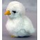 Pea Plush Stuffed Chick
