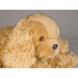 http://animalprops.com/836-thickbox_default/frill-cocker-spaniel-dog-stuffed-plush-animal-display-prop.jpg
