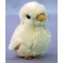 Webb Plush Stuffed Chick