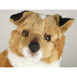 http://animalprops.com/892-thickbox_default/blanco-collie-dog-stuffed-plush-animal-display-prop.jpg