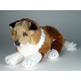 http://animalprops.com/895-thickbox_default/lad-collie-dog-stuffed-plush-animal-display-prop.jpg