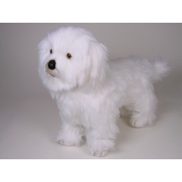 http://animalprops.com/899-thickbox_default/maddie-coton-de-tulear-dog-stuffed-plush-animal-display-prop.jpg