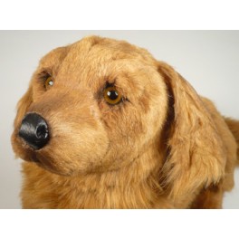 http://animalprops.com/908-thickbox_default/digger-dachshund-doxie-dog-stuffed-plush-animal-display-prop.jpg