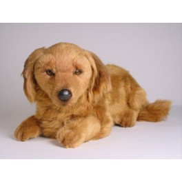 http://animalprops.com/911-thickbox_default/pee-wee-dachshund-doxie-dog-stuffed-plush-animal-display-prop.jpg