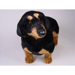 http://animalprops.com/914-thickbox_default/dexter-dachshund-doxie-dog-stuffed-plush-animal-display-prop.jpg