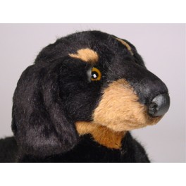 http://animalprops.com/918-thickbox_default/lump-dachshund-doxie-dog-stuffed-plush-animal-display-prop.jpg