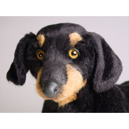 http://animalprops.com/921-thickbox_default/archie-dachshund-doxie-dog-stuffed-plush-animal-display-prop.jpg