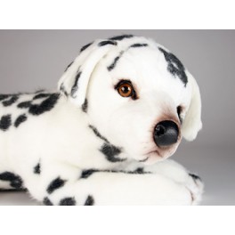 http://animalprops.com/927-thickbox_default/spottie-dottie-dalmatian-dog-stuffed-plush-animal-display-prop.jpg