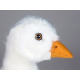 http://animalprops.com/93-thickbox_default/sydney-plush-stuffed-swan-cygnet.jpg