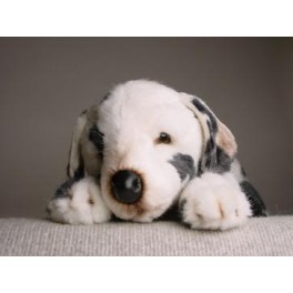 http://animalprops.com/937-thickbox_default/blaze-dalmatian-dog-stuffed-plush-animal-display-prop.jpg