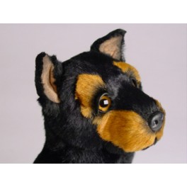 http://animalprops.com/956-thickbox_default/diesel-doberman-pinscher-dog-stuffed-plush-animal-display-prop.jpg