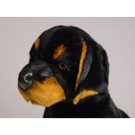 http://animalprops.com/971-thickbox_default/roscoe-doberman-pinscher-dog-stuffed-plush-animal-display-prop.jpg