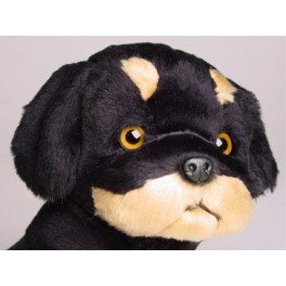 http://animalprops.com/977-thickbox_default/ace-doberman-pinscher-dog-stuffed-plush-animal-display-prop.jpg