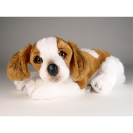 http://animalprops.com/995-thickbox_default/tucker-brittany-spaniel-dog-stuffed-plush-animal-display-prop.jpg