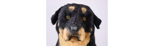 Rottweilers