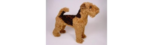 Welsh Terriers