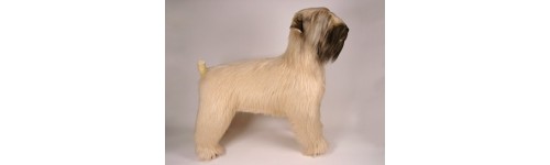 Wheaten Terriers