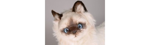 Birman