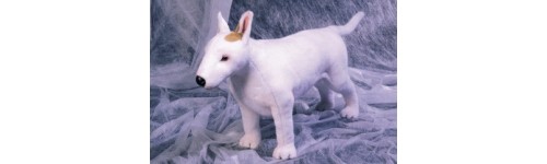 Bull Terriers