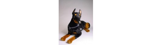 Doberman Pinschers